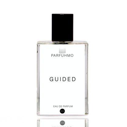 Guided Inspired By White Silk